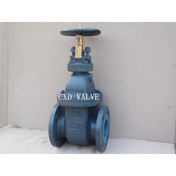 Shipbuilding JIS-marine-cast Iron Gate valve F7363 5k F7364 10k F736