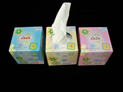 Strong Water Absorption 2 ply Cube Box Facial Tissue, 18x20cm 80 sheet