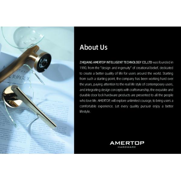 ISO9001 Wooden Lever Door Handles , OEM Interior Bedroom Brass Door Lock Handle