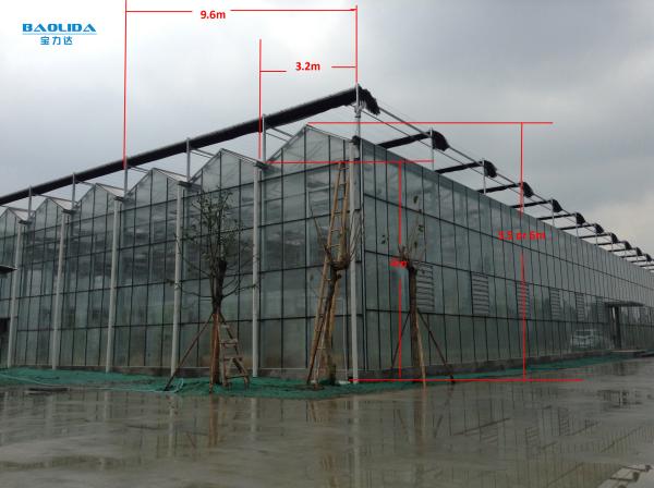 Estufa agrícola/industrial do jardim para vegetais/cogumelos/flores