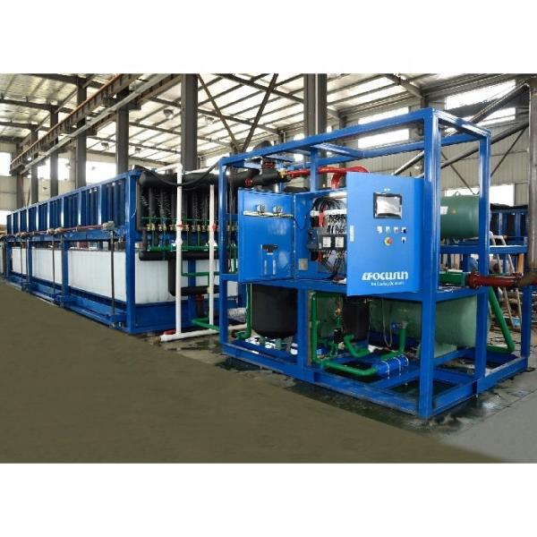 30 Tonnes Daily Capacity Ice Block Machine Bitzer Compressor and Automatic Operation