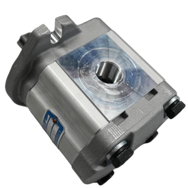 Changyuan Hydraulic Gear Oil Pump for Sanitation Vehicles, Dual-Function Oil Circuit Hydraulic Pump