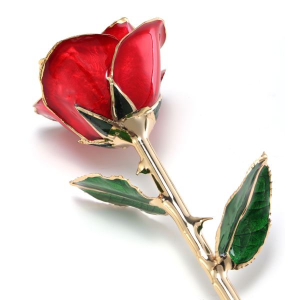 24k Gold Plated Rose Red Eternal Rose Gift Manufacturer Wholesale Valentine's Day Christmas Creative Ornaments