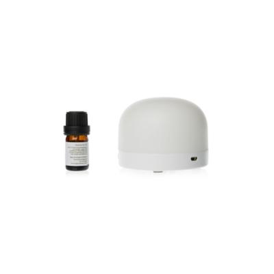 5V Portable Fragrance Diffuser
