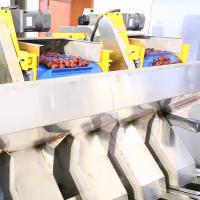 Machine de tri des dates chinoises à haute capacité 380V de 8 kW avec conformité MD