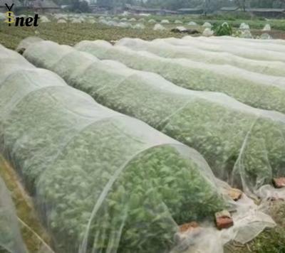 Réseau de jardin en nylon résistant aux insectes Réseau d'oiseau personnalisé pour jardin potager