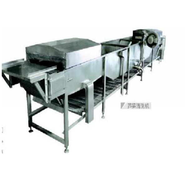 Asparagus Canning Vegetable Processing Equipment High Speed Heavy Duty