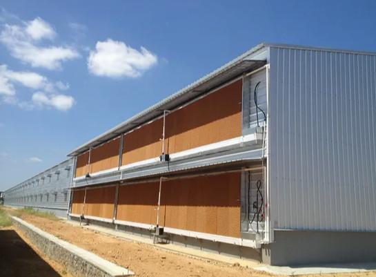 Prefabricated Steel Structure Thermostatic Hot DIP Galvanized Steel Poultry Chicken House