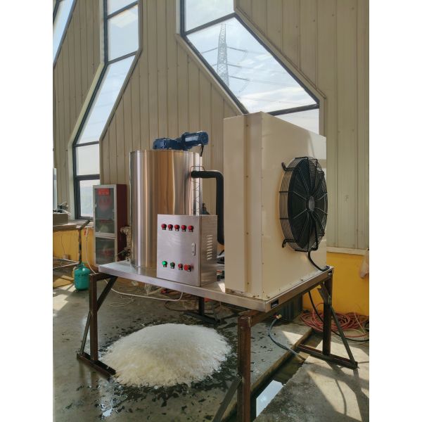 Ecoice 3Ton/Day Stainless Steel Best Commercial Flake Ice Making Machine for Seafood & Fishery