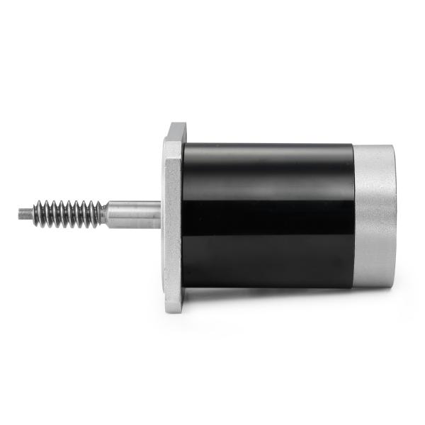 Adjustable Speed and Reverse 24V 100W Brushed DC Motor for Black Industrial Machinery