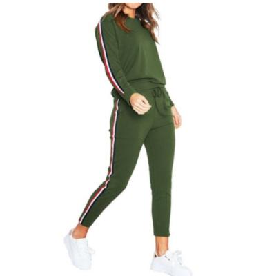 Fato de esporte encapuçado das mulheres do Sportswear do fato de esporte das mulheres encapuçados da aptidão