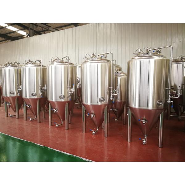 Mini Craft Brewing Equipment With Hot Water Tank , Fermentation Equipment