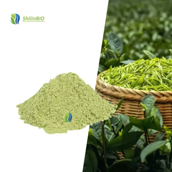 High Quality Green Tea Powder Food Frade Matcha Green Tea Powder