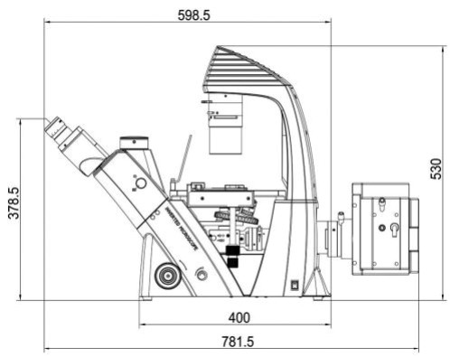 40X-400X перевернуло оптически микроскоп WF10X 22mm для замечания и культивирования клетки