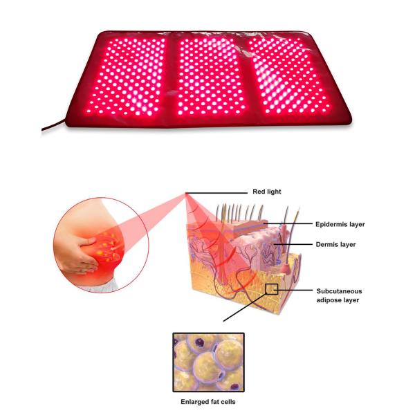 Терапия 880nm 660nm красного света машины терапией фотона пользы лошади кота собаки