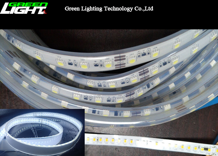 Света прокладки 144LEDs СИД Multi цвета 2000Lum 24V 12W гибкие