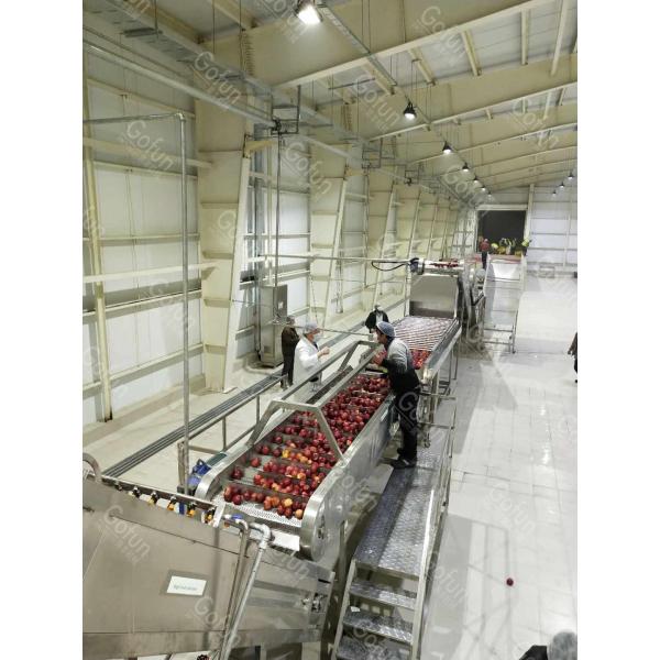 Ss304 Apple Processing Line Automatic Fruit Juice Making Machine 380V