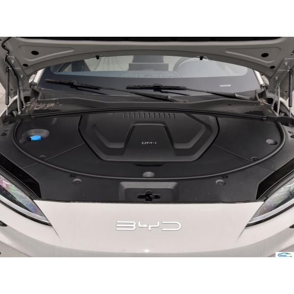 Swing Door PHEV Custom Ride-On Engine Mounts Gaskets for BYD Luxury Type Suv Car