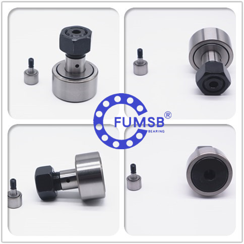 Open Seal Chrome Steel Curve Roller Bearing