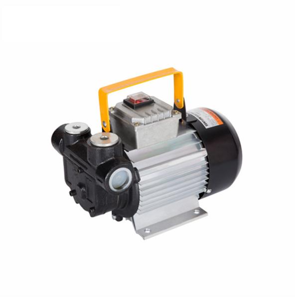 High Flow Compact Electric Oil Diesel Pumps 220V 60L/Min