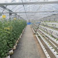 Système hydroponique NFT vertical avec économie d'espace de canal en PVC de qualité alimentaire