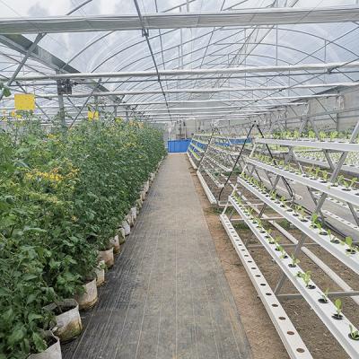 Vertical NFT Hydroponics System With Food Grade PVC Channel Space Saving