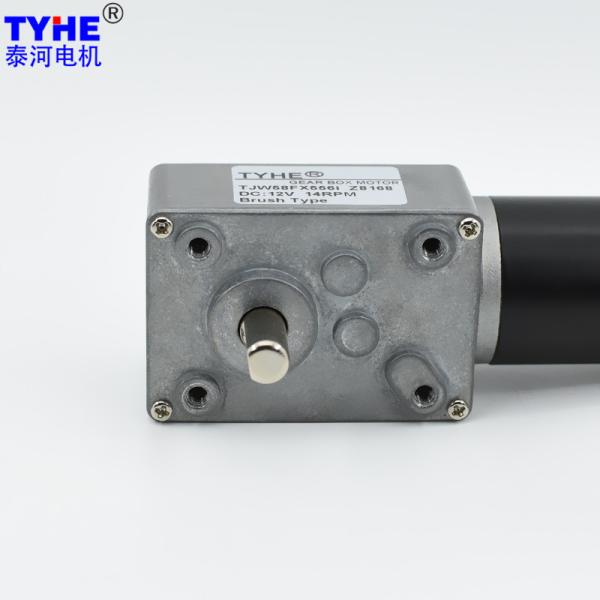 Dual Shaft 24V DC Micro Worm Gear Motor 90 Degree Right Angle