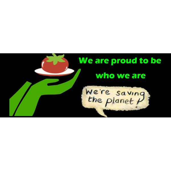 biodegradable corn starch plastic round food tray, Eco-friendly corn starch disposable 4 compartment food tray with lid