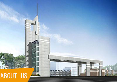 TISCO JISCO гальванизировало покрашенный лист нержавеющей стали подняло лист SS золота