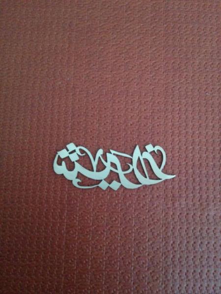 Raycus Thin Metal Sheet Fiber Laser Cutting Machine With Joint Cutting Size Adjusted