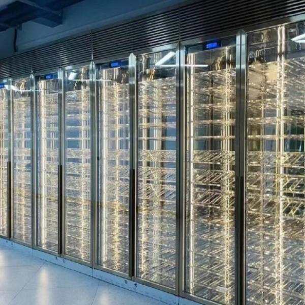 304 Stainless Wine Cooler With Temperature And Humidity Control
