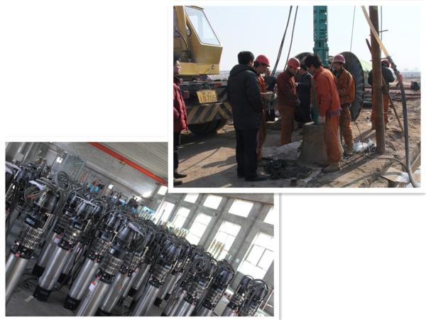 Easy Installation Submersible Borehole Pumps Energy Saving For Water Drainage