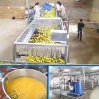 380V manga automática Juice Processing Machine Industrial Fruit Juice Making Machine