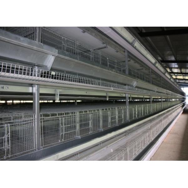 Industrial Poultry Farm Cleaning Equipment Removing Manure Easy Installation