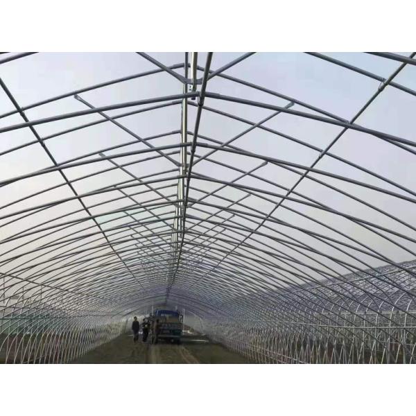 Estufa rápida da barraca da flor com a coberta do filme do Pe da abóbada do sistema de refrigeração