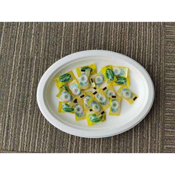 10 Inch 17g Eco Friendly Sugarcane Paper Plates