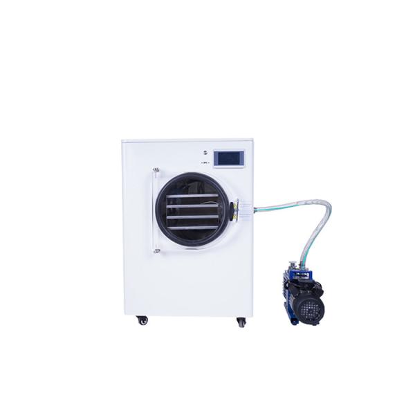 2022 Small Freeze Drying Machine Home Used Food Frozen Dryer Equipment for Vegetable and Fruit