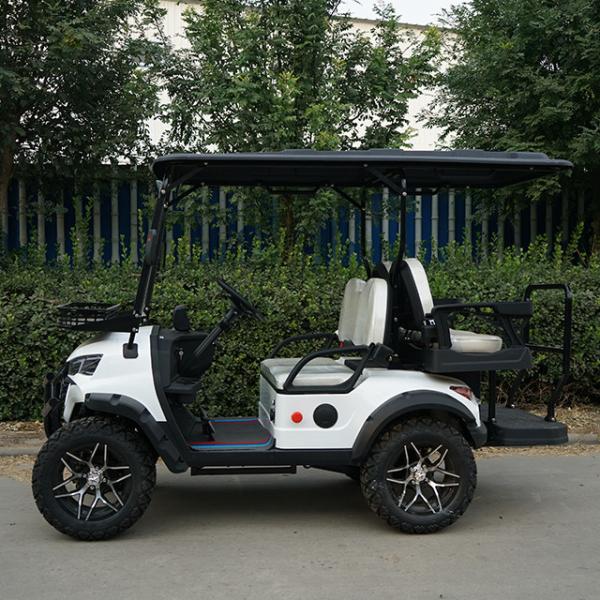 Lake Horse Electric Golf Cart with Buggy Car Tour Tire Front Disc Rear Drum Brake System