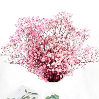 Decorações multicoloridos da tabela do casamento da respiração dos bebês secados bonitos das flores