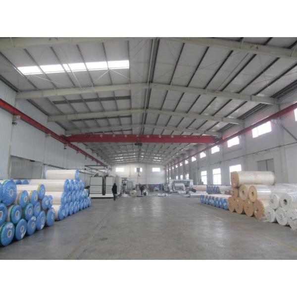 Muestra de película holográfica transparente de polipropileno orientada biaxialmente suministrada libremente