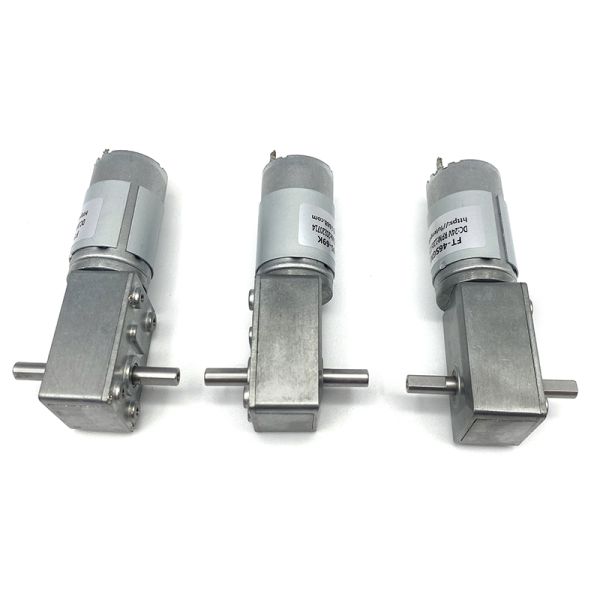 Customized Manufacturer FT-46SGM395-69K 12V Micro DC Gear Motor 24V Worm Gear Motor