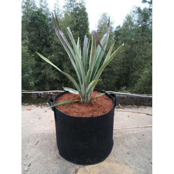 3 Gallon 5 Gallon 10 Gallon 25 Gallon 100 Gallon Vertical Garden Grow Bags Aeration Fabric Pots Container