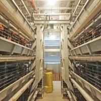 Machine de alimentation automatique de zinc-Alu pour la volaille, système de alimentation de grilleur de GV 1.2mm