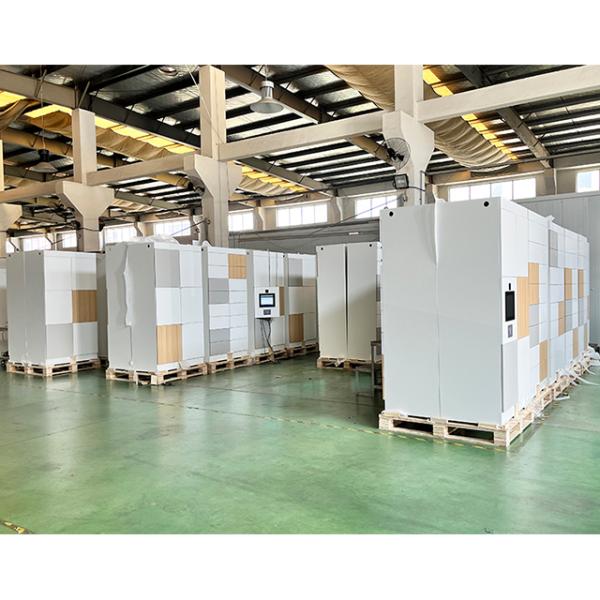 Высокобезопасность Стальные хранилища Деревянный шкаф замок Умная система посылок Металл 12 дверей