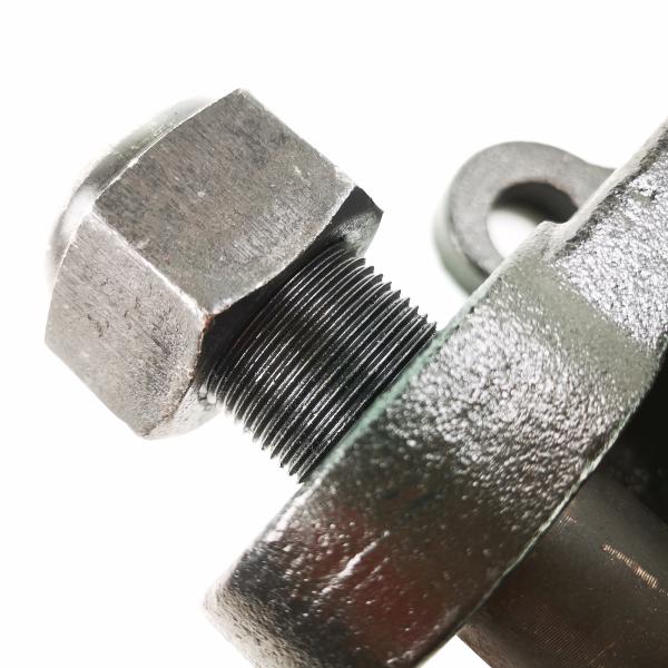 Тип подвес БПВ немецкий трейлера разделяет собрание места цапфы ЗГ270-500