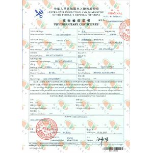 Discount Biotechnology (chengdu) Co., Ltd. Certifications