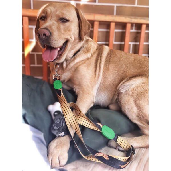 Bicycle Adjustable Anti Pull Dog Leash 10 Meter Halti Dog Lead