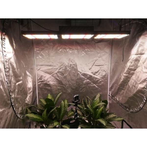 5000K Full Spectrum LED Grow Lights