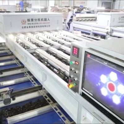 Intelligent Deep-learning 8 lanes+8 outlets Chestnut Sorting Machine 3.3 Tons per Hour: Learning, Growing, Continuous Optimization