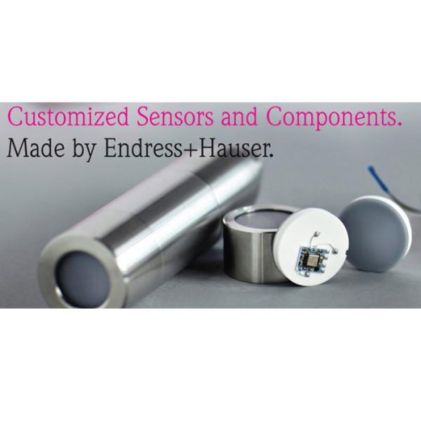 CCPS32 Ceramic Endress Hauser Pressure Sensor Capacitive Corrosion Resistant